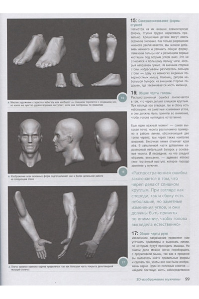 3dtotal: Анатомия для 3D-художников. Курс для разработчиков персонажей компьютерной графики