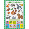 Смирнова И., Таширова Ю.: Обучающие плакаты. Знания для дошкольников: набор плакатов