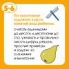 Земцова Ольга Николаевна: Логопедические тесты (5-6 лет)