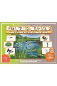 Растения и обитатели пресноводных водоемов. 4-7 лет. Демонстрационные материалы по природоведению