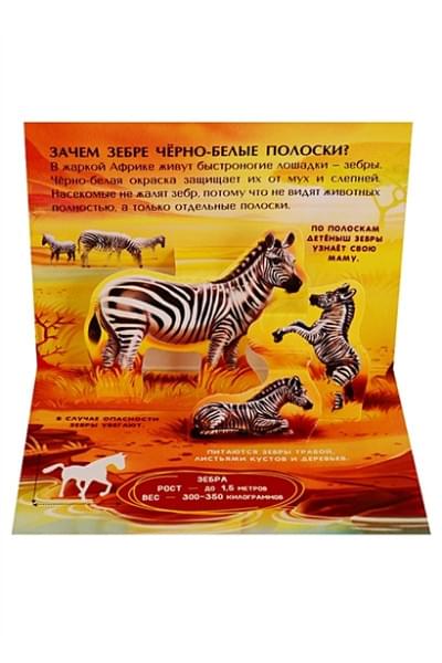 Коллекция карманных POP-UP энциклопедий