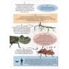 Грецкая А.: 365 фактов о насекомых и пауках. Энциклопедия на каждый день