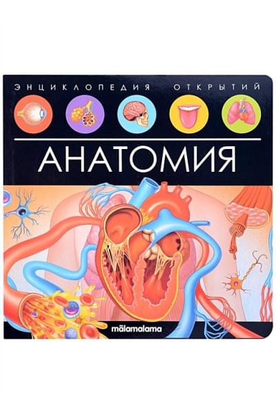 Анатомия. Книжка-панорамка
