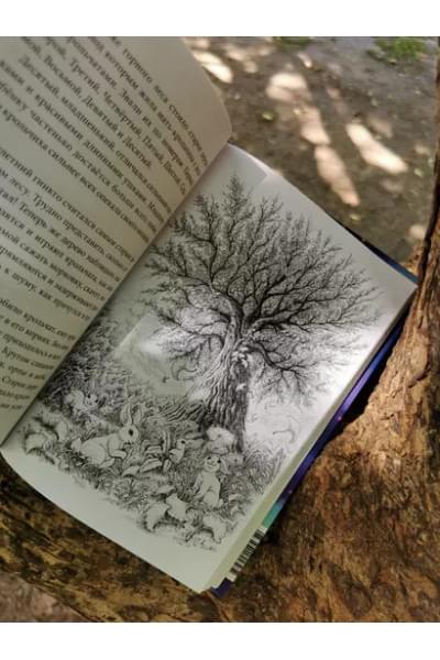 Тан Сулань: Книжный лес