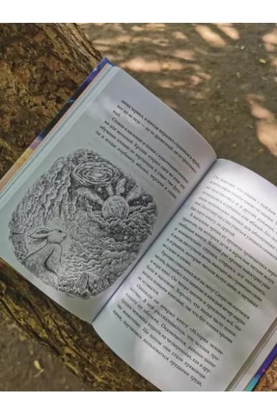Тан Сулань: Книжный лес