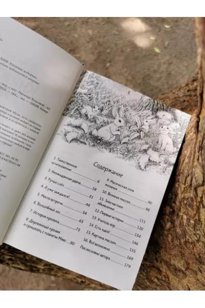 Тан Сулань: Книжный лес