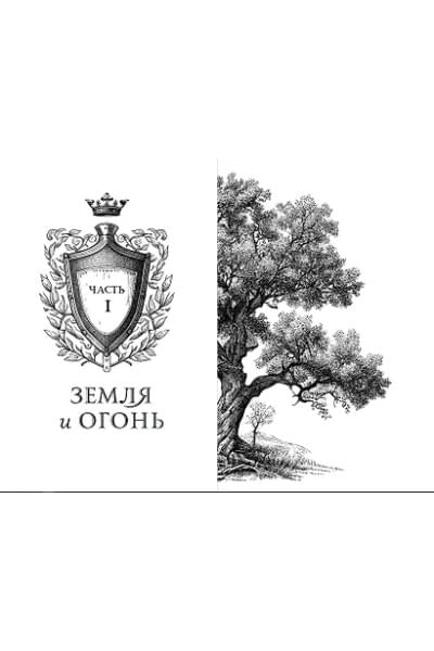 Брандис Катя: Дареш. Сердце белого леса (#1)