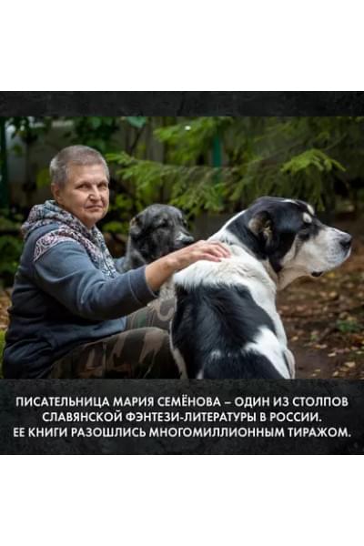 Братья. Книга 2. Том 1. Царский витязь: роман