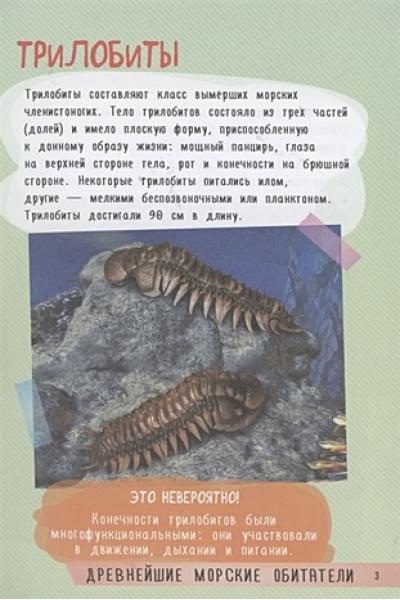 Вайткене Любовь Дмитриевна, Аниашвили Ксения Сергеевна, Прудник Анастасия Александровна: 250 лучших секретов о подводном мире
