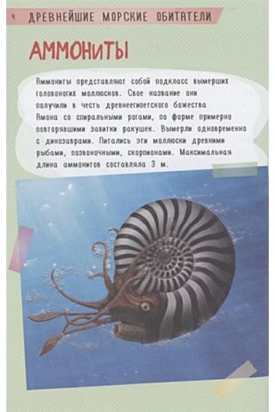 Вайткене Любовь Дмитриевна, Аниашвили Ксения Сергеевна, Прудник Анастасия Александровна: 250 лучших секретов о подводном мире