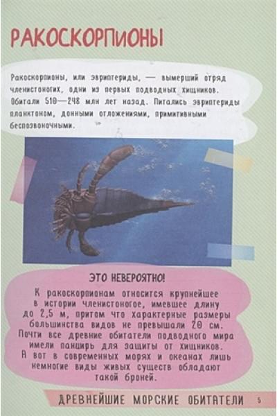 Вайткене Любовь Дмитриевна, Аниашвили Ксения Сергеевна, Прудник Анастасия Александровна: 250 лучших секретов о подводном мире