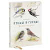 Васильева Анна : Птицы в городе. Где найти и как узнать
