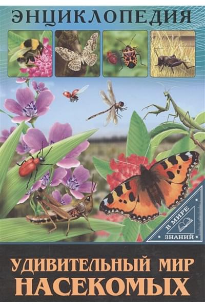 Соколова Л.: Энциклопедия. В Мире Знаний. Удивительный Мир Насекомых