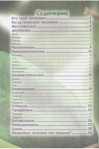 Соколова Л.: Энциклопедия. В Мире Знаний. Удивительный Мир Насекомых