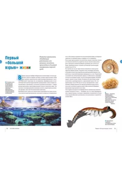 Мило Франческо: Тайны морей и океанов. Большая иллюстрированная энциклопедия