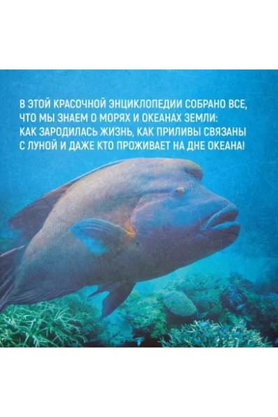 Мило Франческо: Тайны морей и океанов. Большая иллюстрированная энциклопедия
