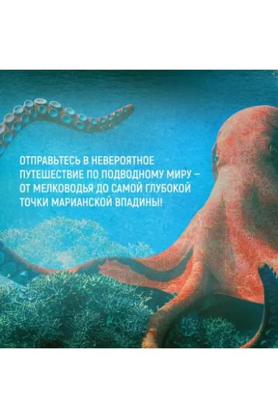 Мило Франческо: Тайны морей и океанов. Большая иллюстрированная энциклопедия
