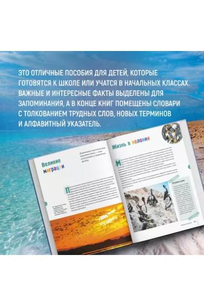 Мило Франческо: Тайны морей и океанов. Большая иллюстрированная энциклопедия