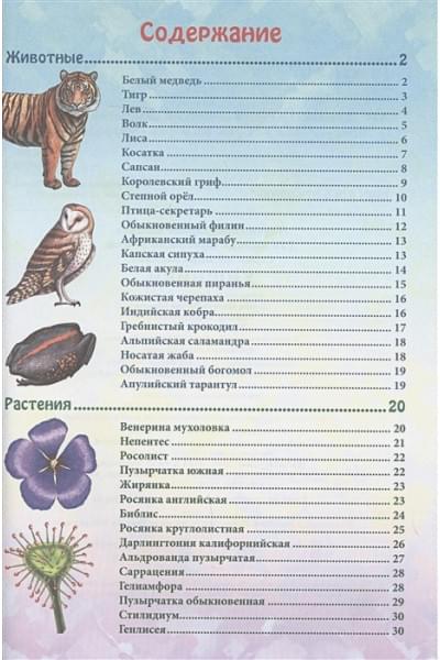 Соколова Я.: Энциклопедия. В Мире Знаний. Хищники