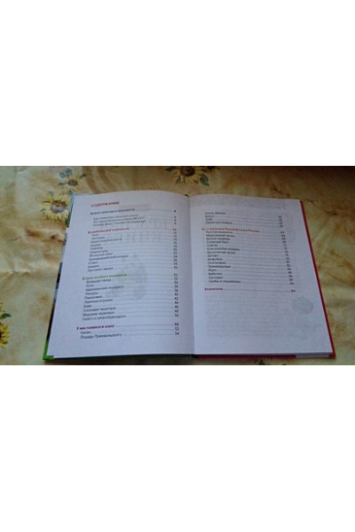 Травина И.: Красная книга (ДЭР)