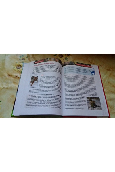 Травина И.: Красная книга (ДЭР)