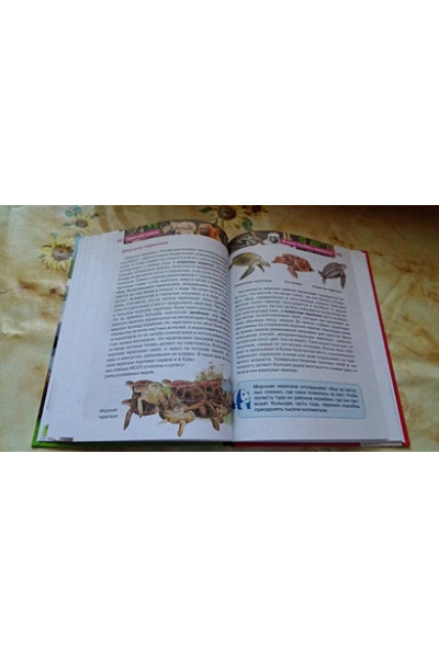 Травина И.: Красная книга (ДЭР)