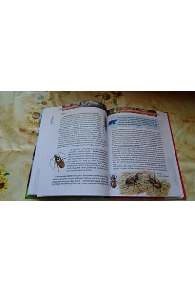 Травина И.: Красная книга (ДЭР)