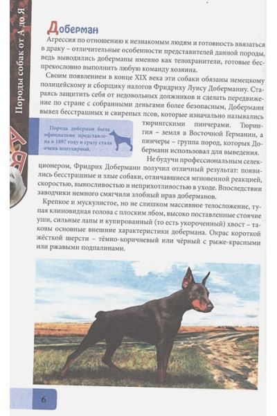 Соколова Л.: Энциклопедия. В Мире Знаний. Породы Собак От А До Я