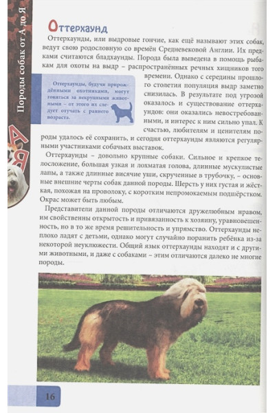 Соколова Л.: Энциклопедия. В Мире Знаний. Породы Собак От А До Я