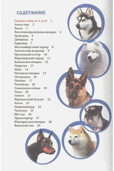 Соколова Л.: Энциклопедия. В Мире Знаний. Породы Собак От А До Я