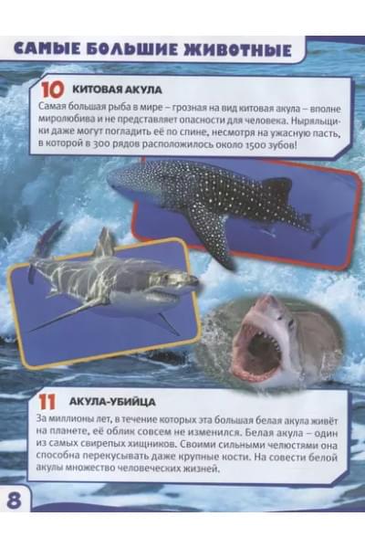 Самые большие животные. 100 фактов