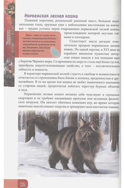 Тяжлова О.: Энциклопедия. В Мире Знаний. Всё О Кошках