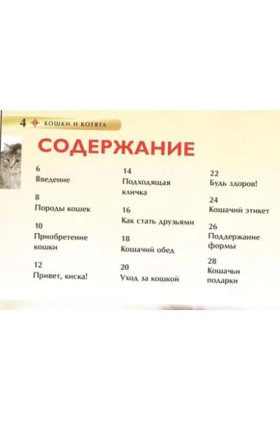 Кошки и котята. Детская энциклопедия