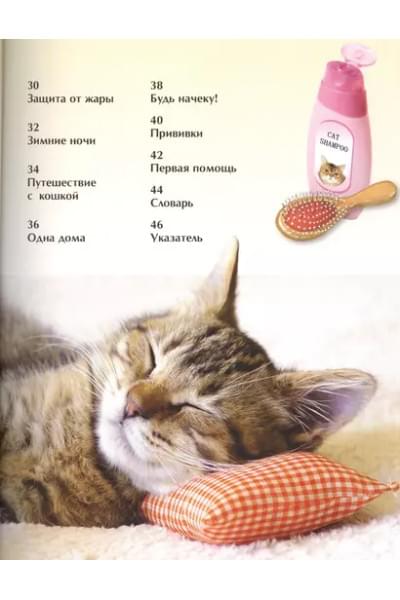 Кошки и котята. Детская энциклопедия