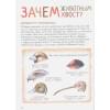 Ренне: Удивительный мир животных. Энциклопедия для малышей