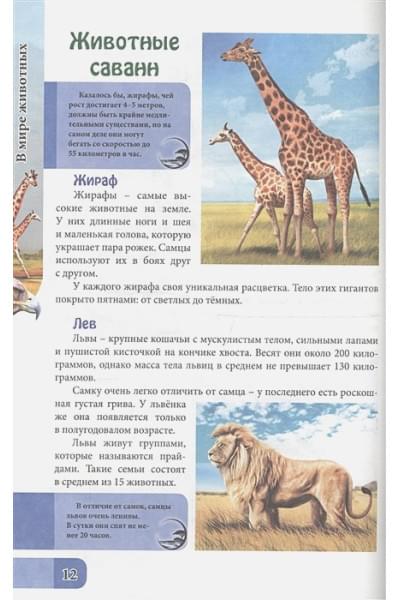 Соколова Я.: Энциклопедия. В Мире Знаний. В Мире Животных