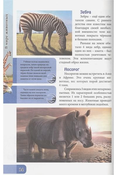 Соколова Я.: Энциклопедия. В Мире Знаний. В Мире Животных