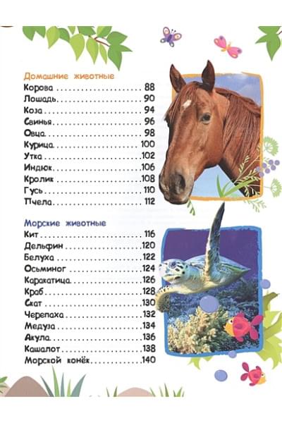 Алексеева Е., Гуричева Е.: Энциклопедия животных для малышей (нов.)