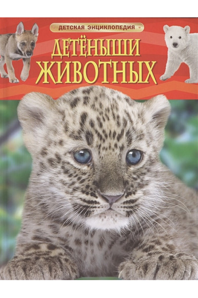 Несмеянова М. (ред.): Детеныши животных. Детская энциклопедия