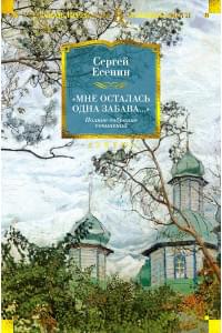 «Мне осталась одна забава...» Стихотворения, поэмы, проза. Полное собрание сочинений