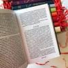 Бернетт Фрэнсис Ходжсон: Таинственный сад