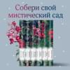 Дракула