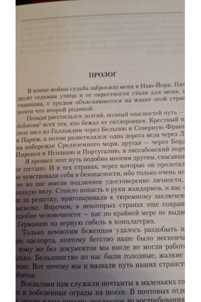 Тени в раю