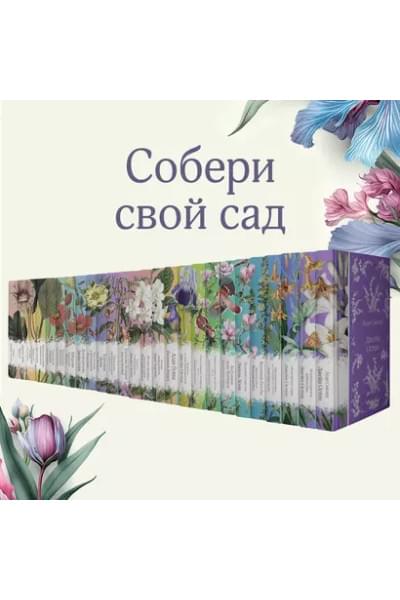 Дамское счастье