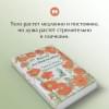 Монтгомери Люси Мод: Рилла из Инглсайда