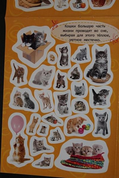 Стикерляндия. Котята