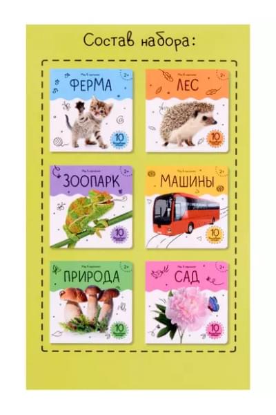 Шоубокс 