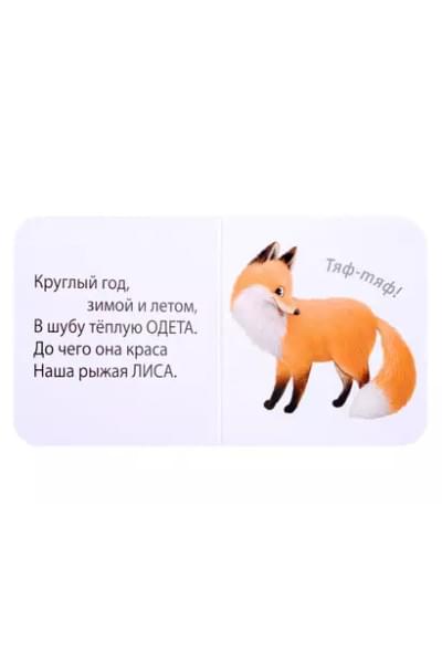 МИМИкнижки. Загадки-рифмы