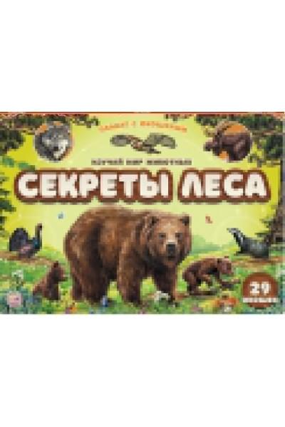Чекурова С. (худ.): Плакат с окошками. Секреты леса