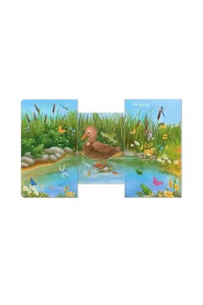 Книжки - задвижки. Кто где живет?